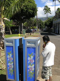 Diving in Maui HAWAII - USA . Jan 2007.