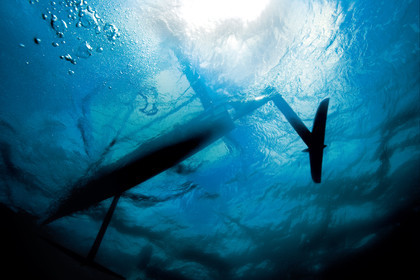 Moth International - Bladerider - Blairgowrie VICTORIA - AUSTRALIE . Feb 2007.