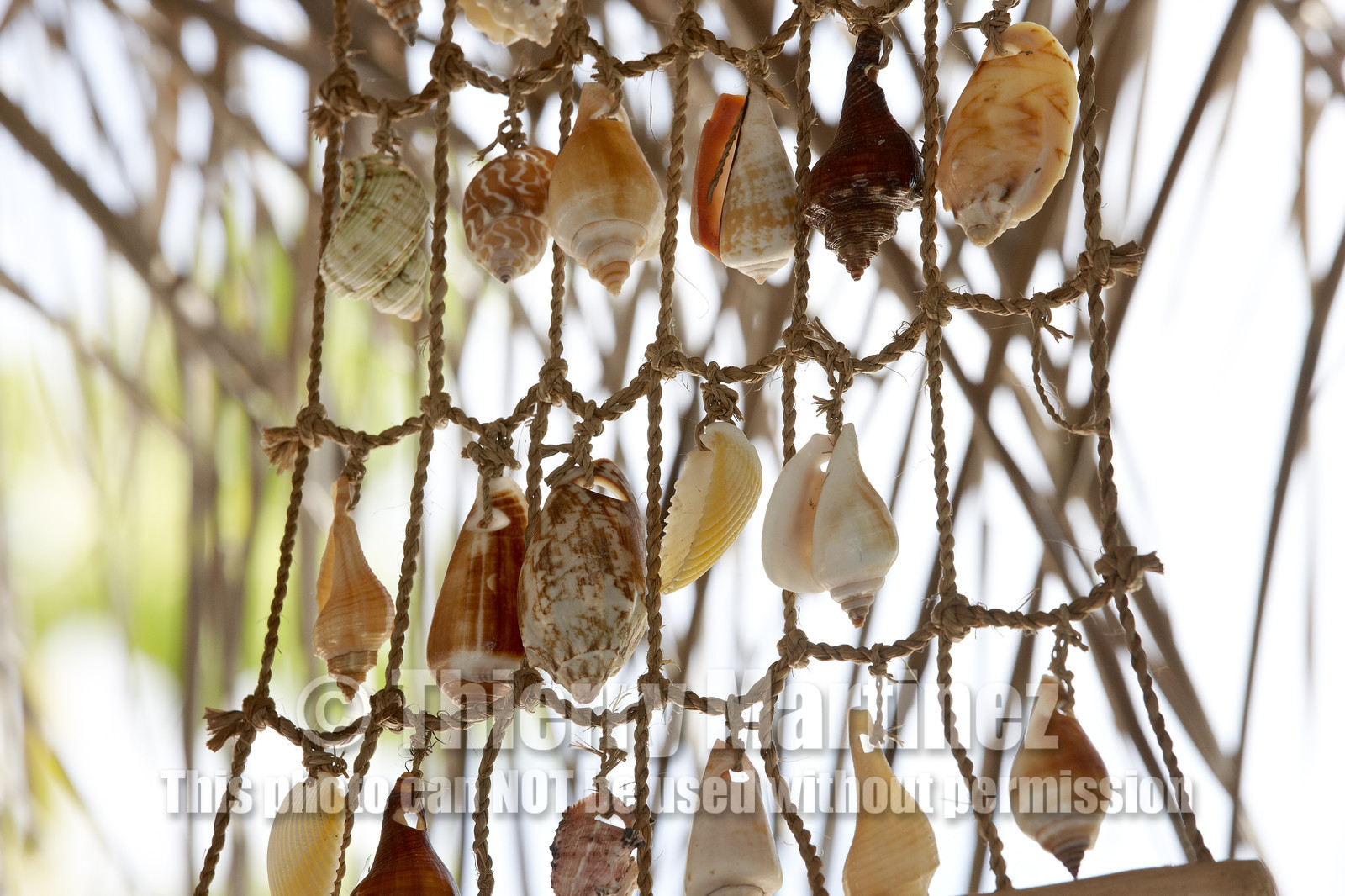 15_027795  ©ThMartinez Sea&Co.  FAKARAVA - ARCHIPEL des TUAMOTU. POLYNESIE FRANCAISE .  14 Février 2015. .