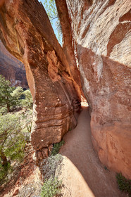 THM-18_052716-ZION Canyon