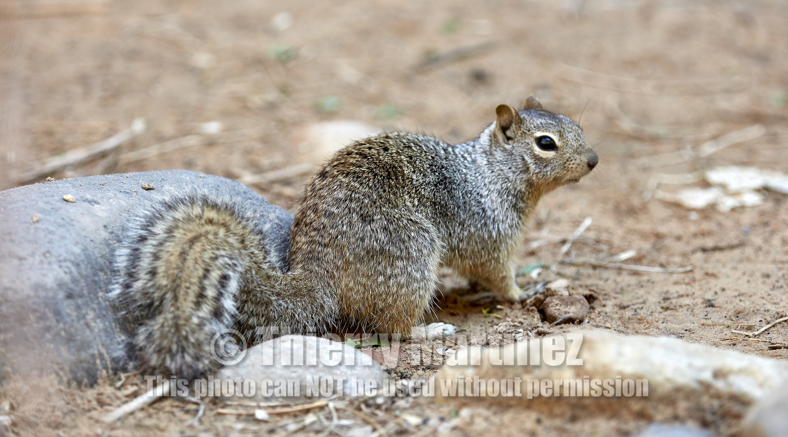 THM-18_052335-ZION Canyon