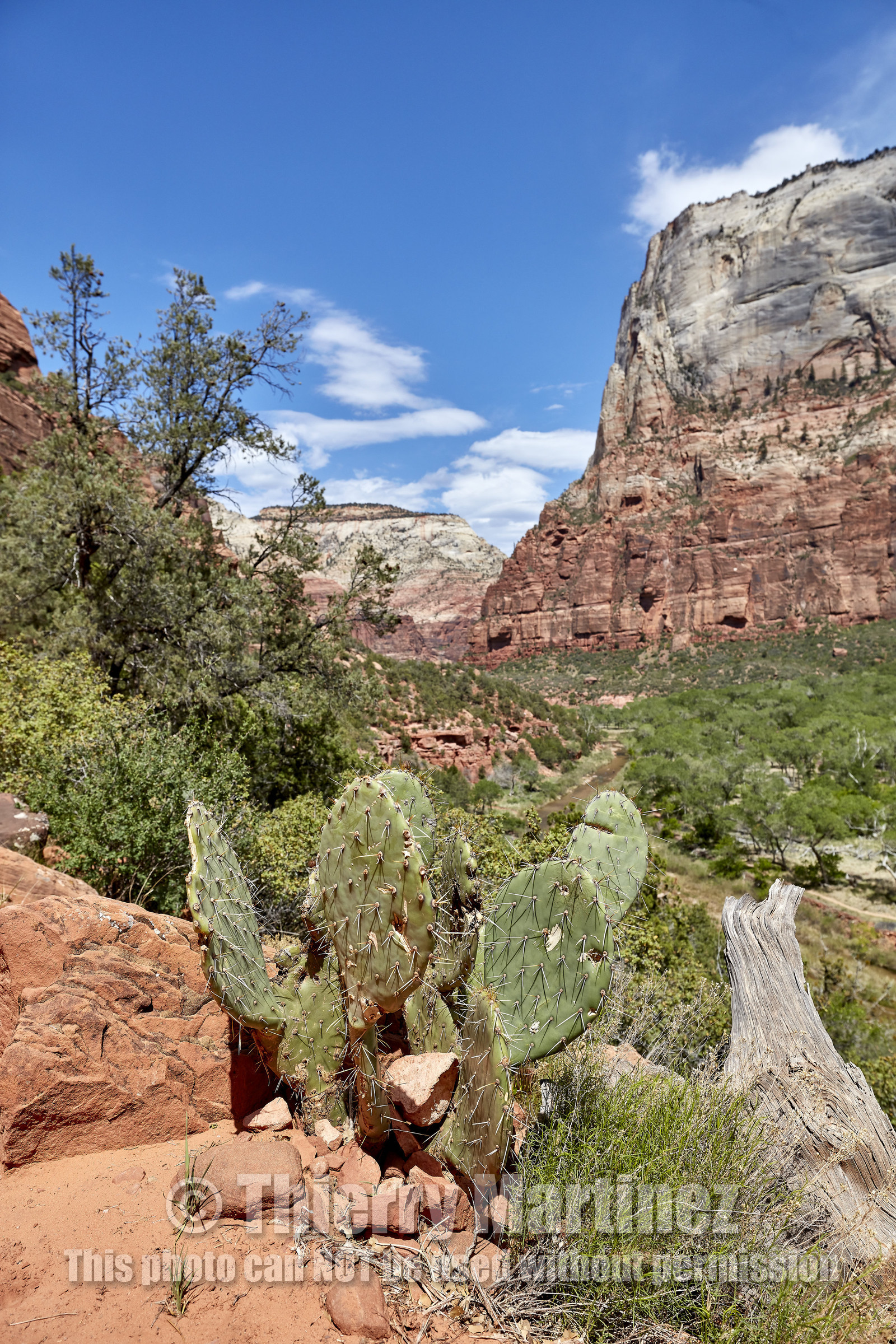 THM-18_052683-ZION Canyon