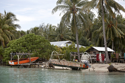 15_026258  ©ThMartinez Sea&Co.  BORA BORA - ILES SOUS LE VENT. POLYNESIE FRANCAISE .  6 Février 2015. ...