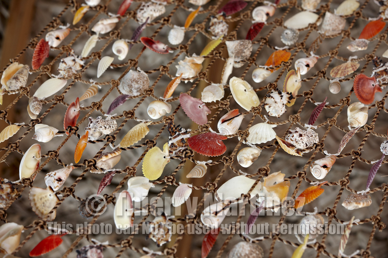 15_027809  ©ThMartinez Sea&Co.  FAKARAVA - ARCHIPEL des TUAMOTU. POLYNESIE FRANCAISE .  14 Février 2015. .