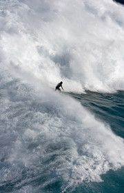 MAUI - HAWAII - USA . Jan 2007.