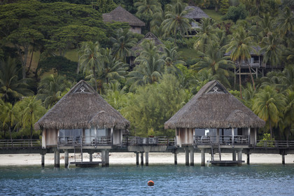15_026018  ©ThMartinez Sea&Co.  BORA BORA - ILES SOUS LE VENT. POLYNESIE FRANCAISE .  6 Février 2015. ...