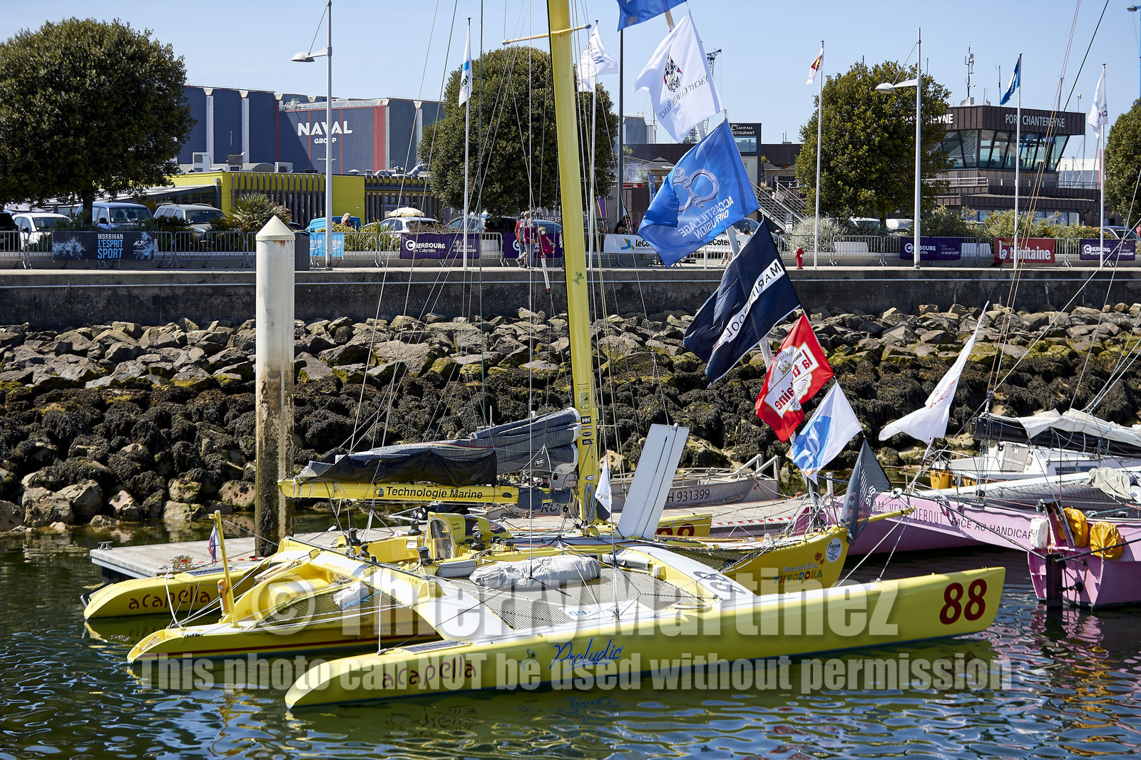 THM-20_08645_DRHEAM CUP