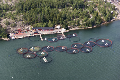 Archipelago Raid 2007 (30 July    3 August 2007).