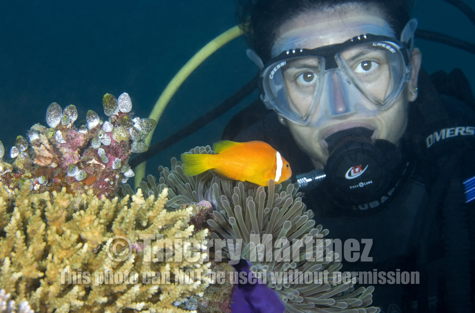 Diving In Maldives Feb March 2007.
