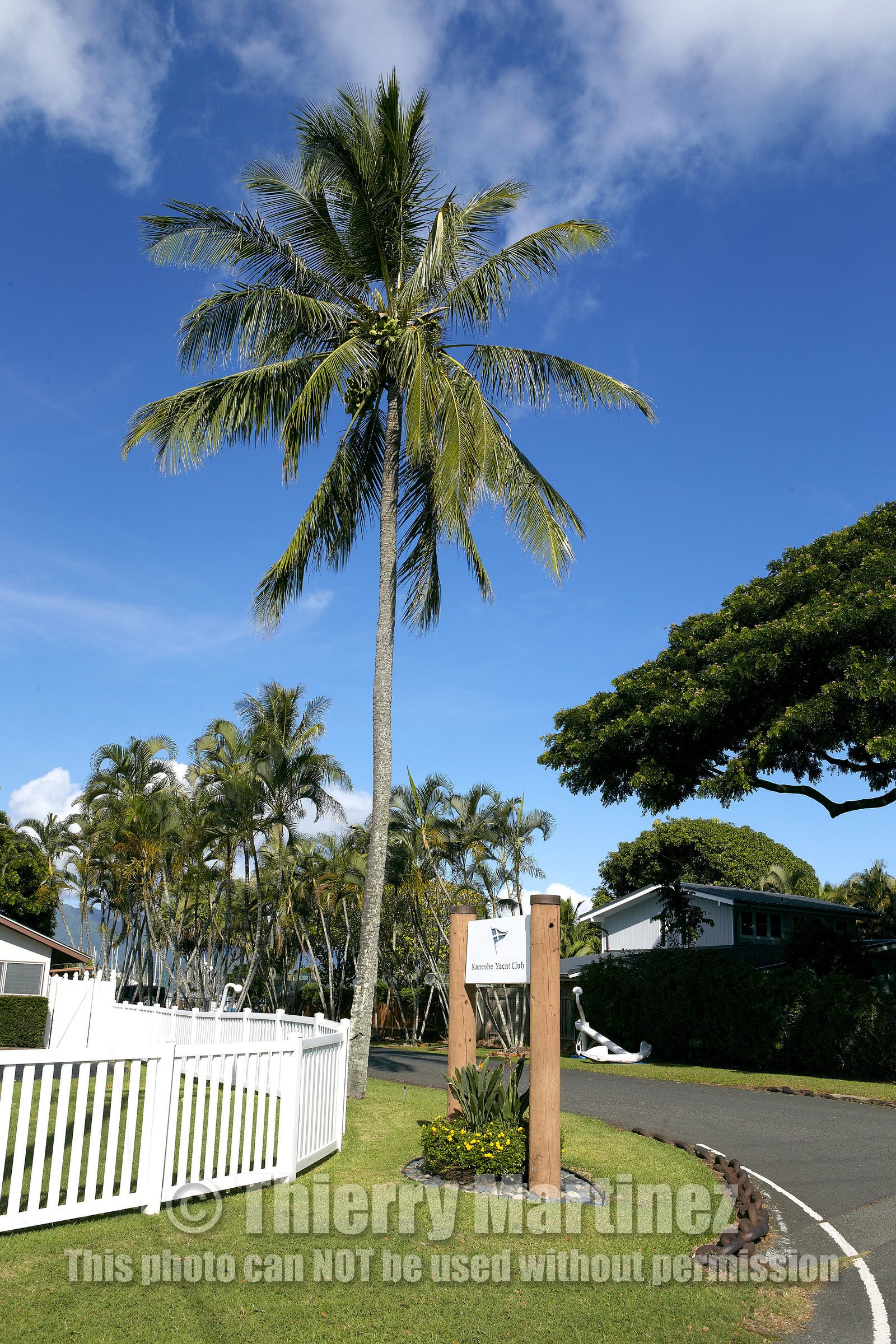2013 McDOUGALL+McCONAGHY Moth Worlds - Kaneohe Bay - Hawaii -USA . October 2013