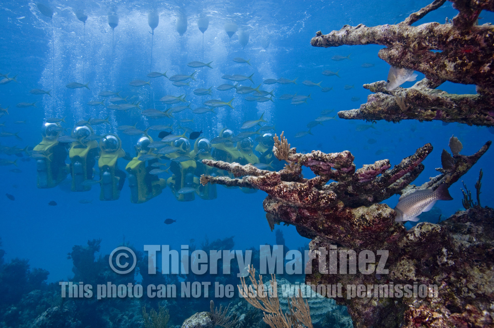 DIVING IN BAHAMAS- JAN 2007
