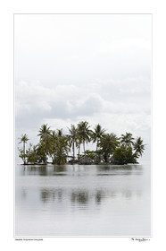 Photo disponible en tirage photo Fine Art,tirage original limités à 30 exemplaires.Chaque tirage est numéroté avec certificat d’authenticité signé.Pour choisir le format et support merci d'utiliser le caddie à coté de la photo.Formats disponibles : Tirage sur papier ( tirage seul) :  30x45 cm   40x60 cm  60x90 cm. Vous pouvez choisir le tirage avec un fond blanc ou noir , à votre convenance. Tirage sur papier contrecollé sur Dibond ( pas de bord blanc ou noir autour de l'image), avec système d'attache au dos:  30x45 cm   40x60 cm  50x75 cm  80x120cm.Tirage sur toile ( Canvas) monté sur chassis bois (pas de bord blanc ou noir autour de l'image), avec système d'attache au dos :  50x75 cm  80x120cm.Expédition ( Dans le monde entier): Colissimo (assurance) avec signature à réception. 48h pour la France métropolitaine.Il est possible de récupérer les tirages à La Galerie du Golfe (sans frais d'expèdition).Conditionnement tirages seuls: tube cylindrique renforcé + boite.