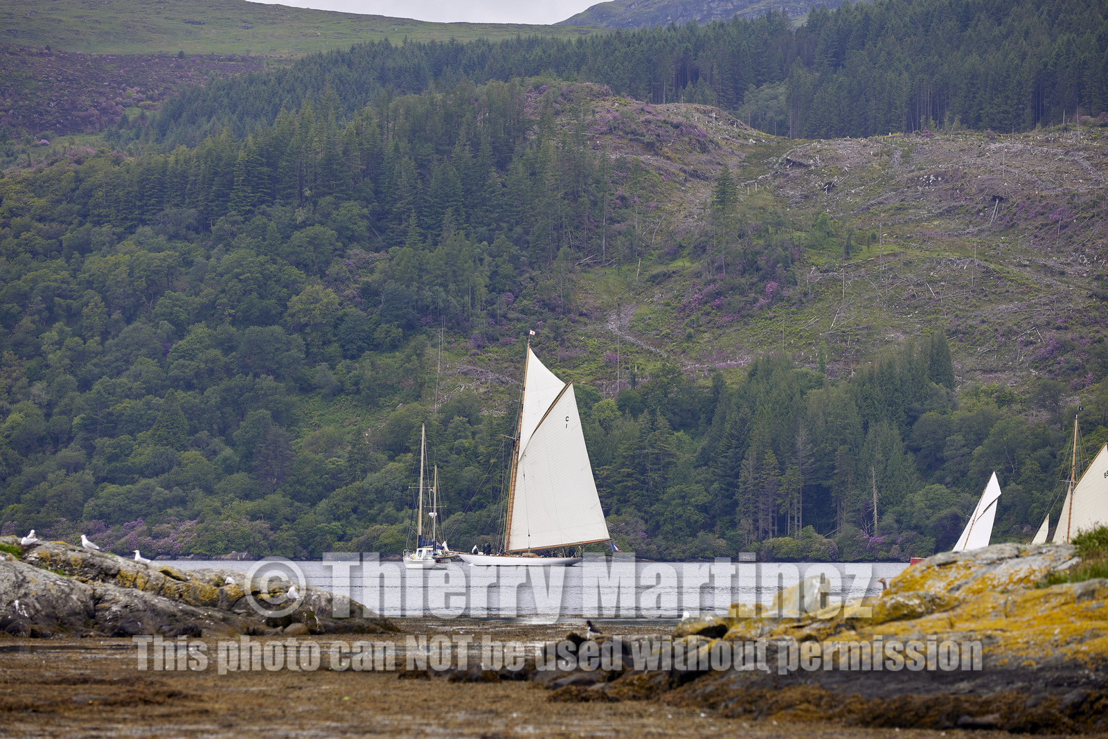 22_21830  © Thierry Martinez.FAIRLIE,SCOTLAND - UK 14th June 20222022 RICHARD MILLE FIFE REGATTA.Day 4 :ROTHESAY (ISLE OF BUTE) to PORTAVADIE.