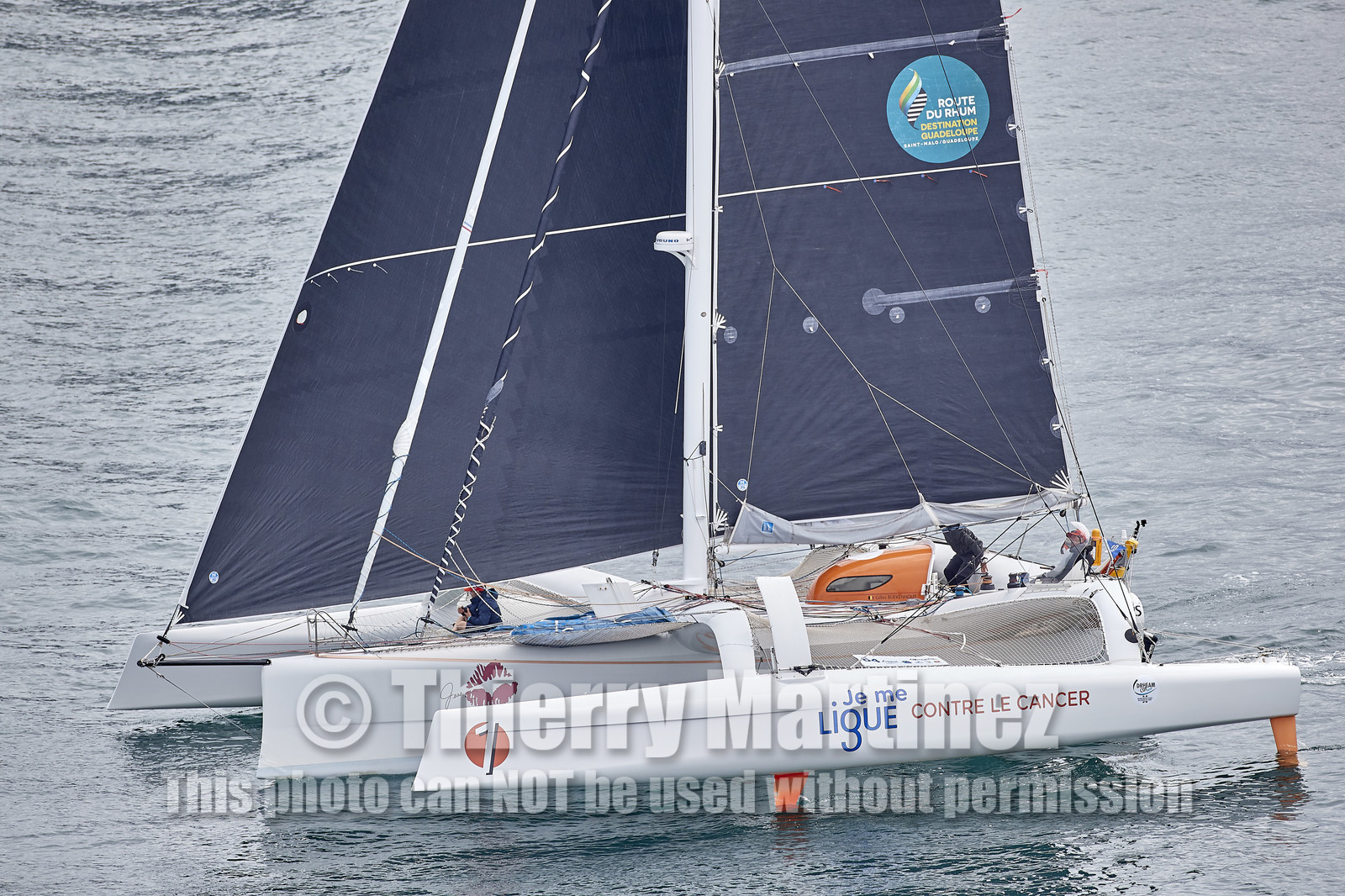 THM-20_10198_DRHEAM CUP