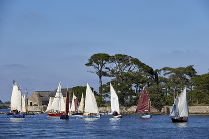 THM-17_011864-Semaine du Golfe