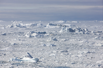 Schooner LA LOUISE sailing on west coast of Greenland.