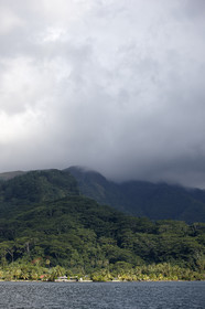 15_025063  ©ThMartinez Sea&Co.  RAIATEA - ILES SOUS LE VENT. POLYNESIE FRANCAISE .  2 Février 2015. ..