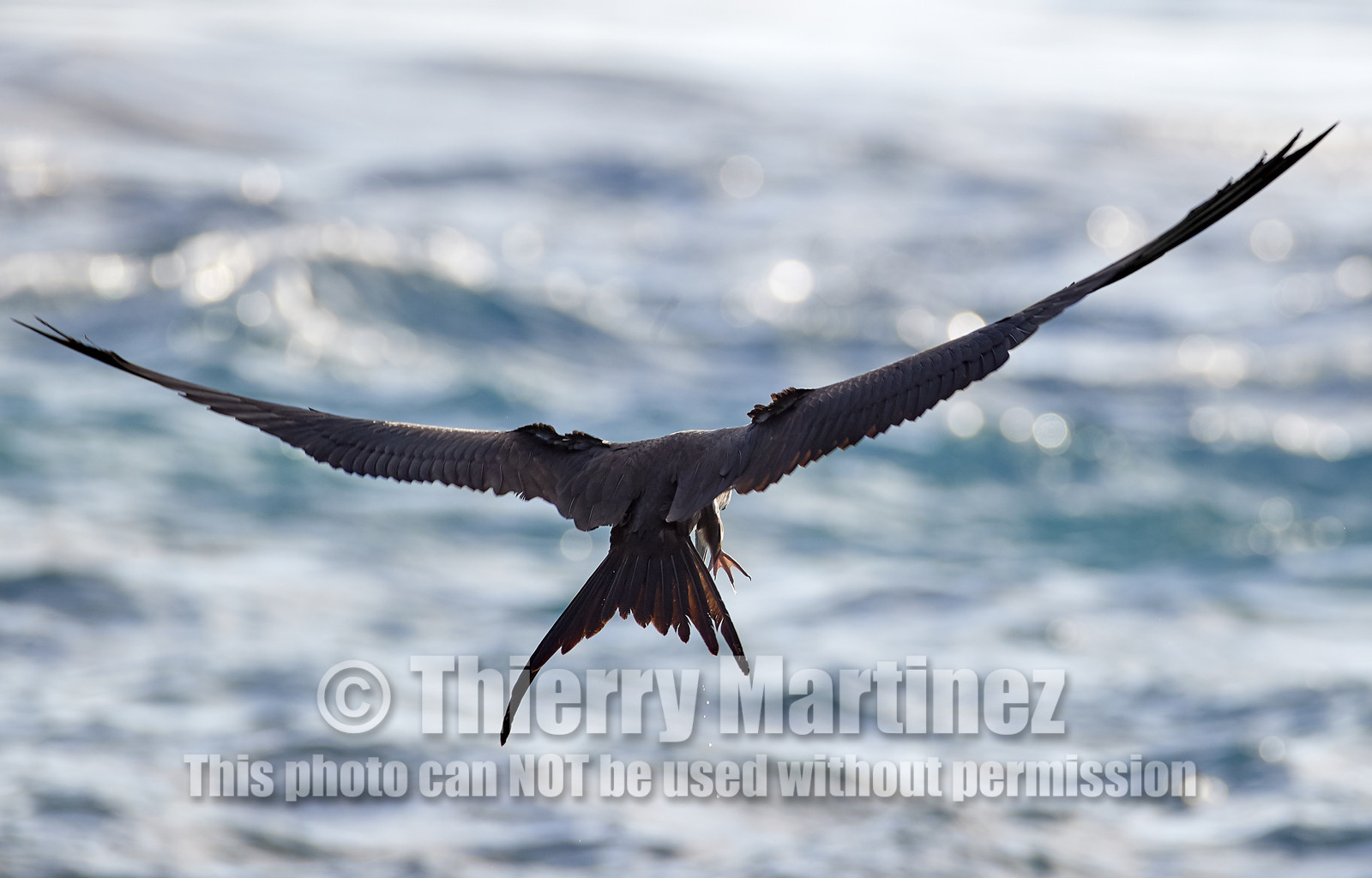 THM-18_039088_RANGIROA