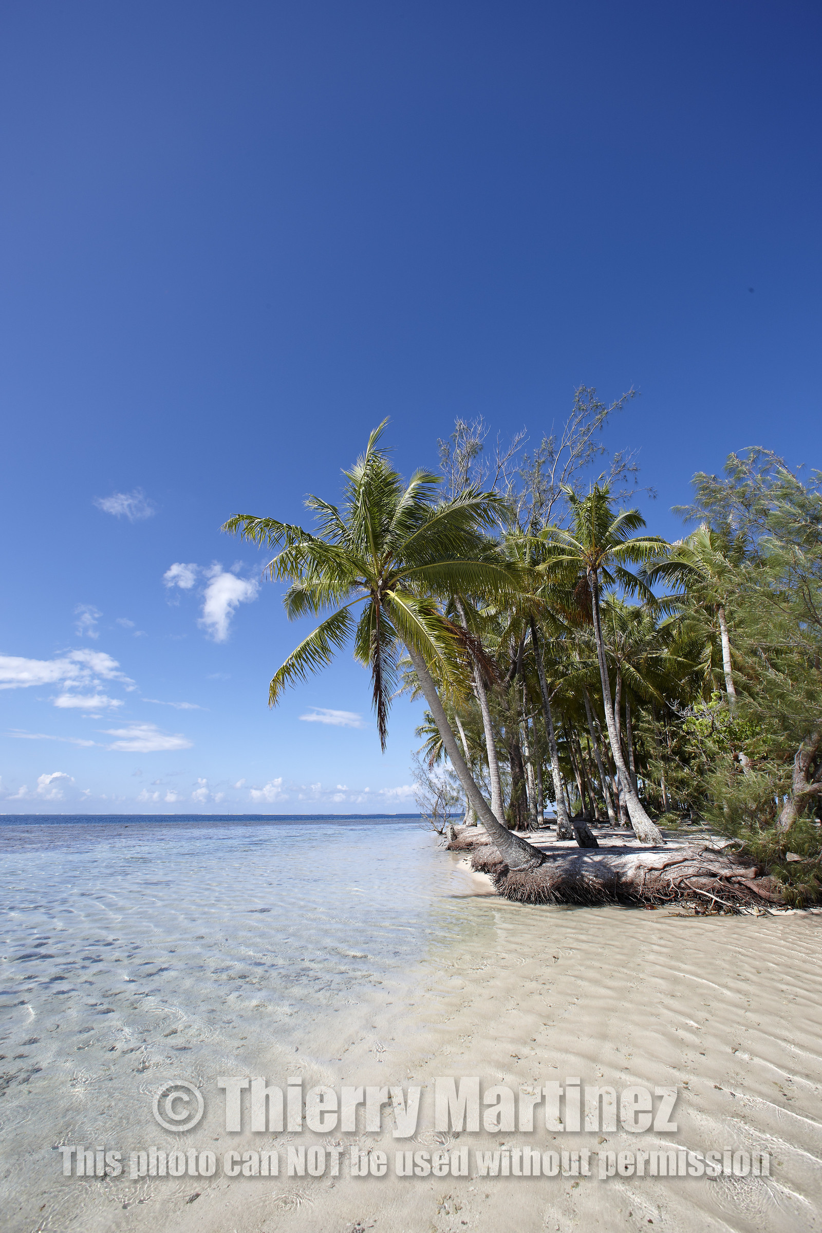 15_024885  ©ThMartinez Sea&Co.  RAIATEA - ILES SOUS LE VENT. POLYNESIE FRANCAISE .  2 Février 2015. ..MOTU dans le lagon de Raiatea.