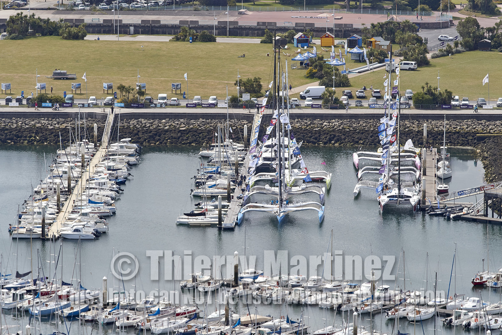 THM-20_08310_DRHEAM CUP