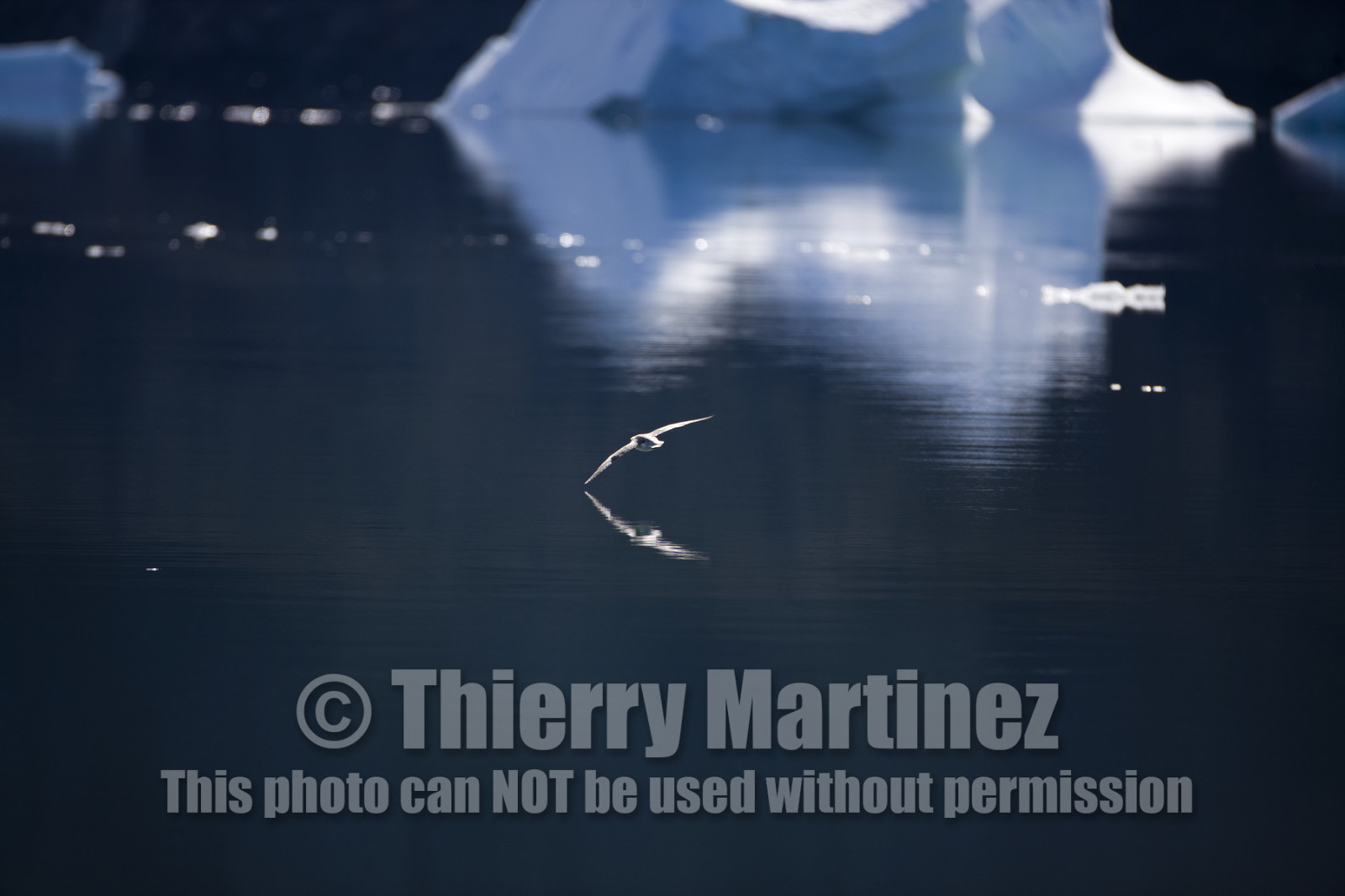 Schooner LA LOUISE sailing on west coast of Greenland.
