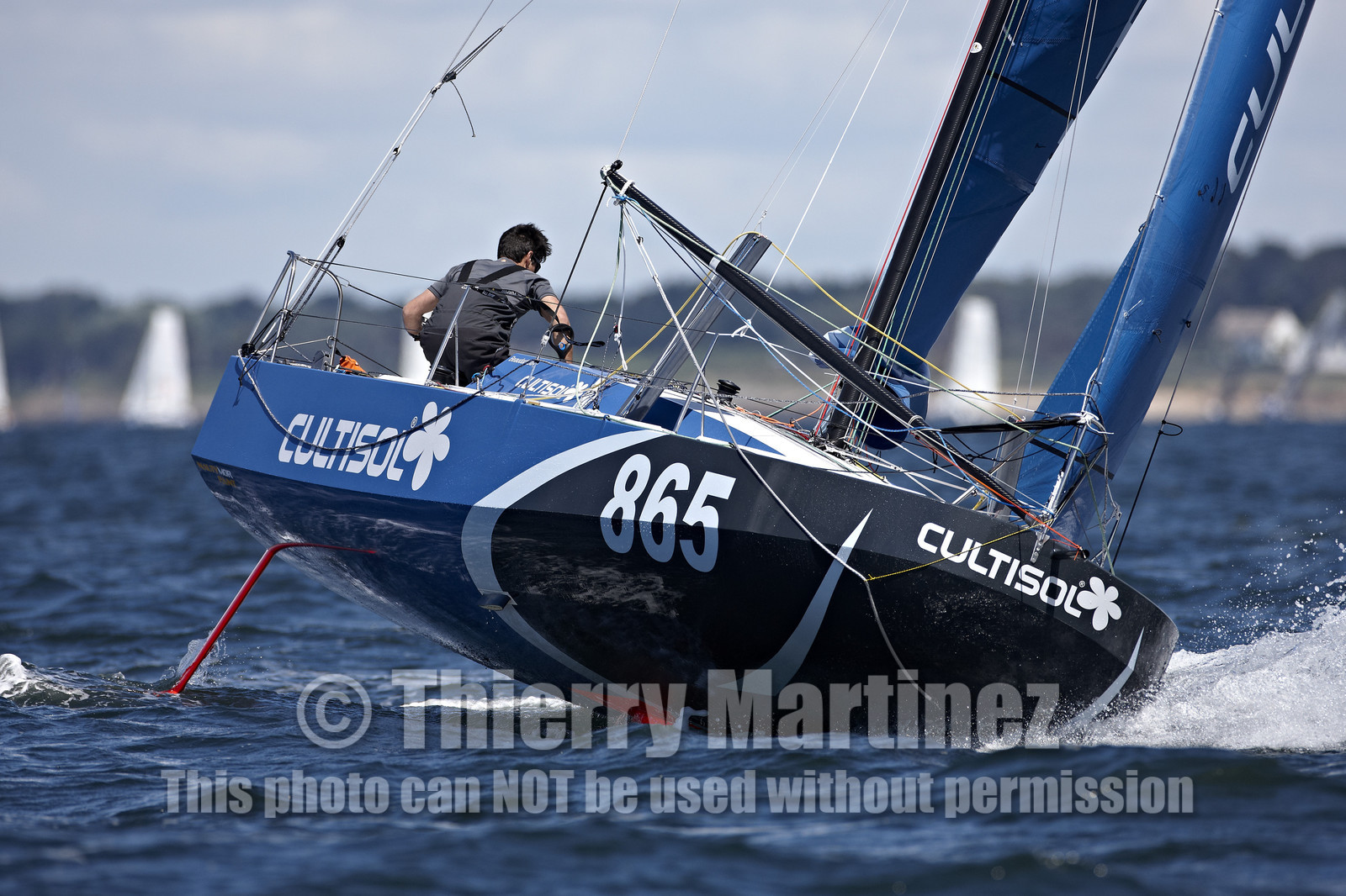 14_12110-SMINI en Mai