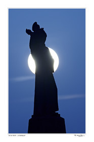 15_29572 - fond blanc -.jpg