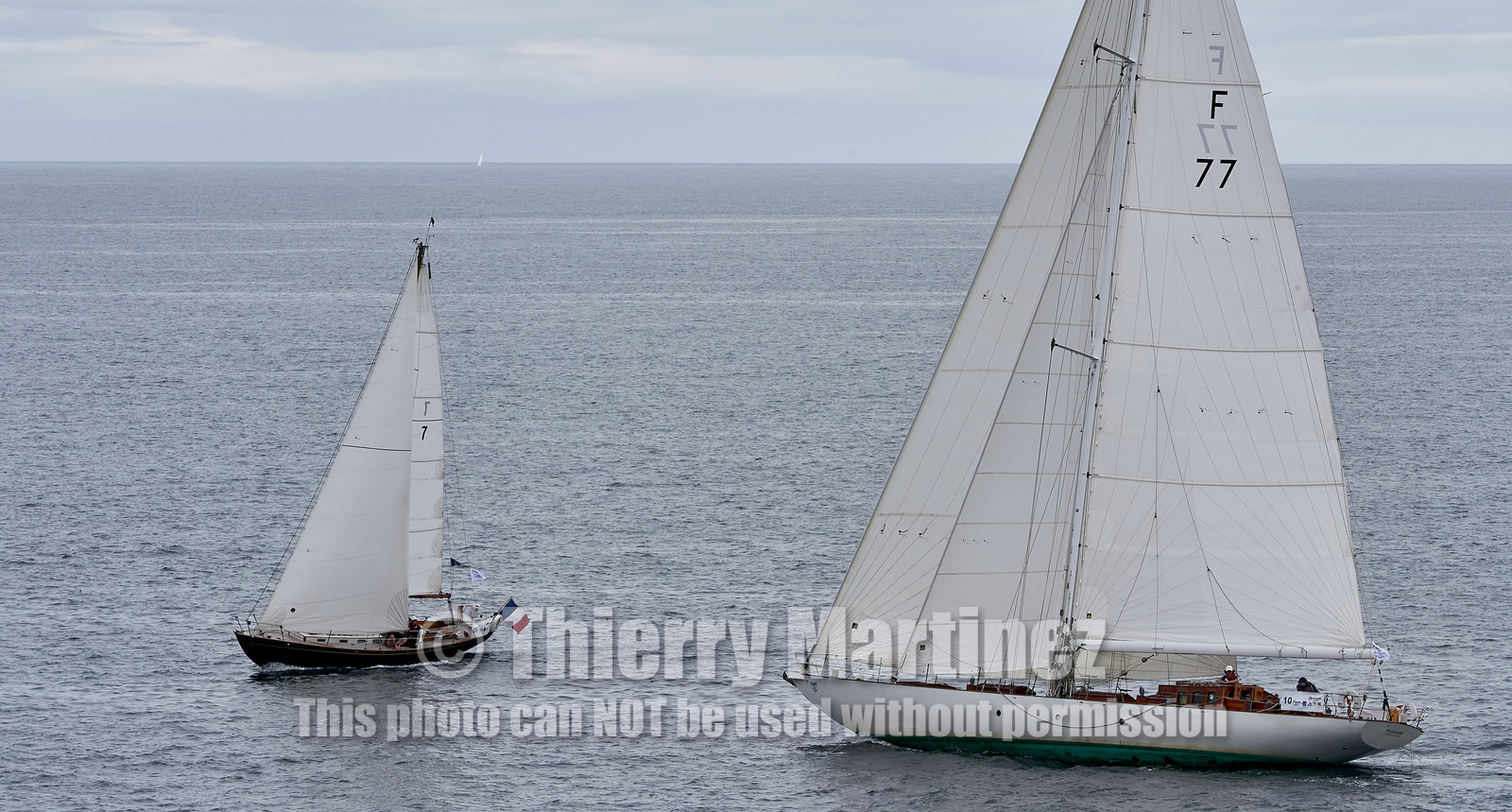 THM-20_10917_DRHEAM CUP