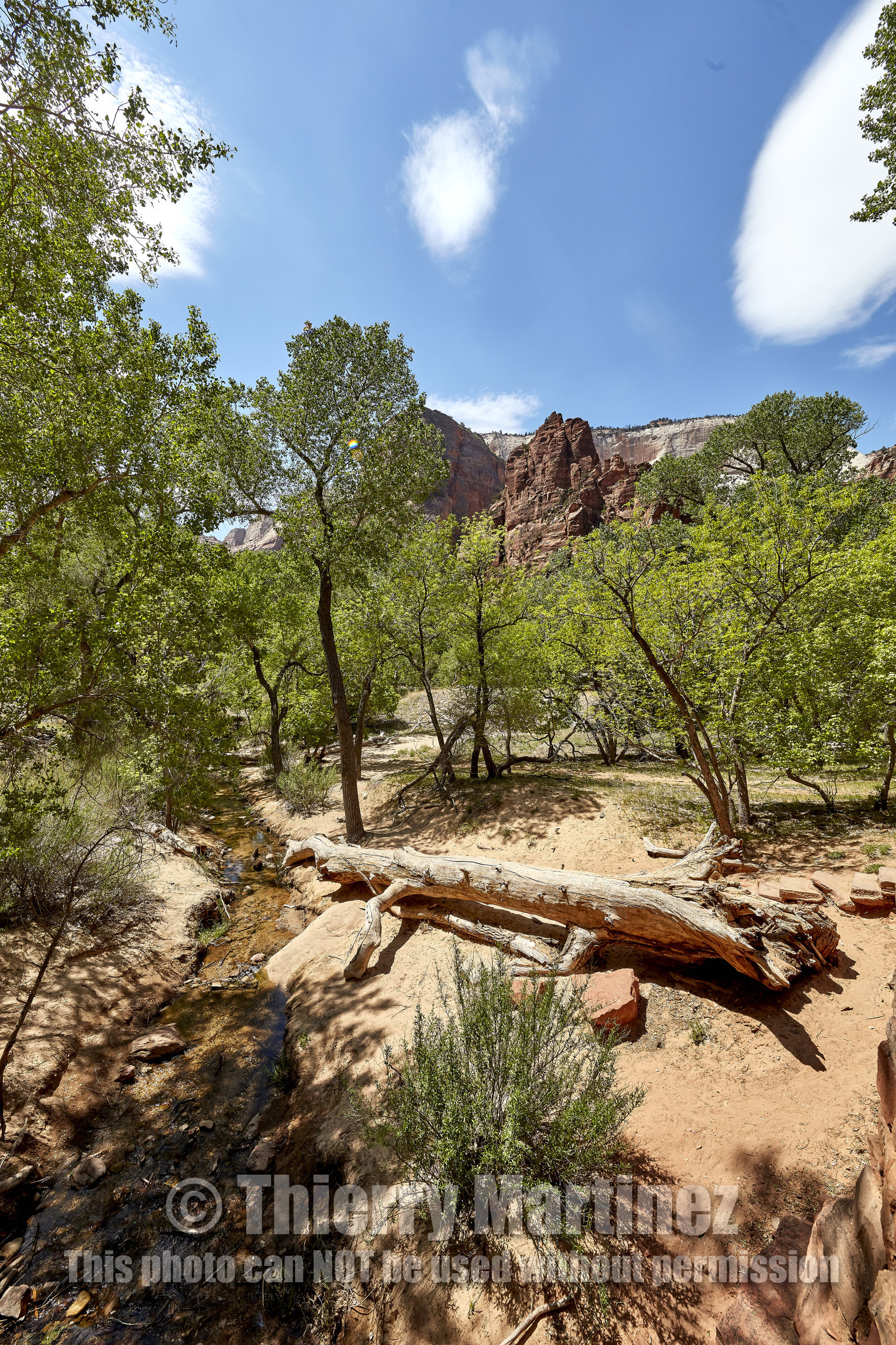 THM-18_052485-ZION Canyon