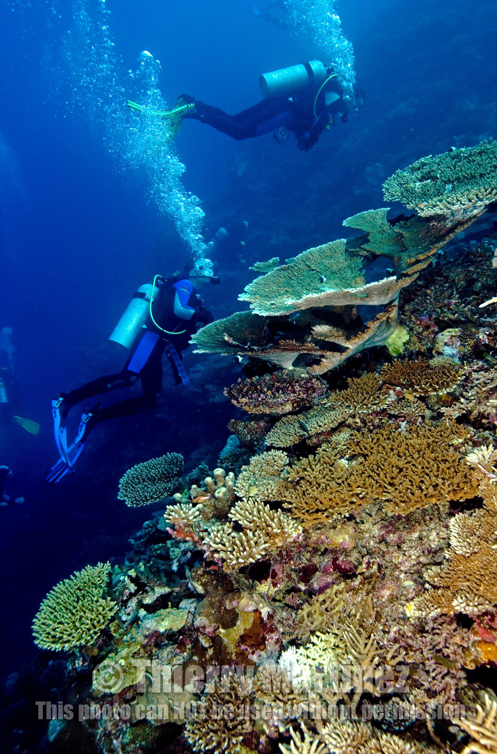 Diving In Maldives Feb March 2007.