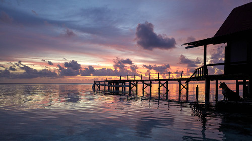 THM-18_041565_FAKARAVA