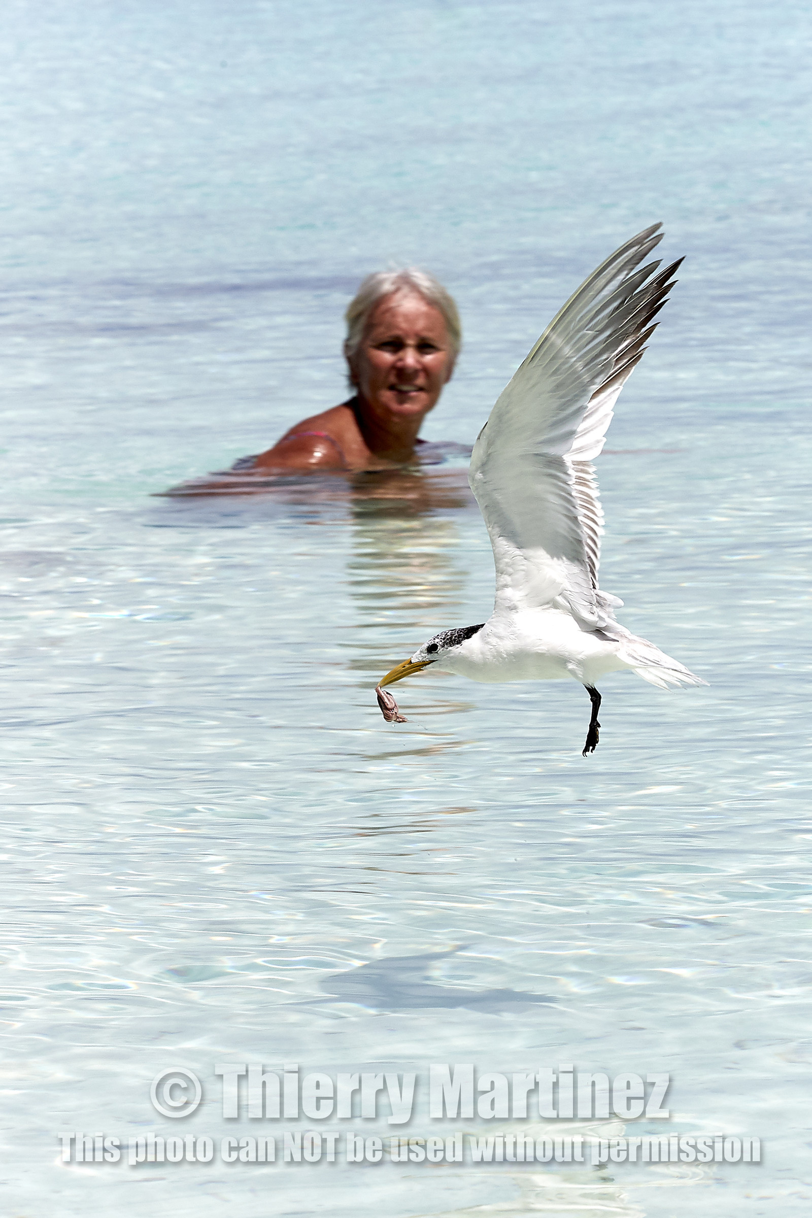 THM-18_040995_FAKARAVA