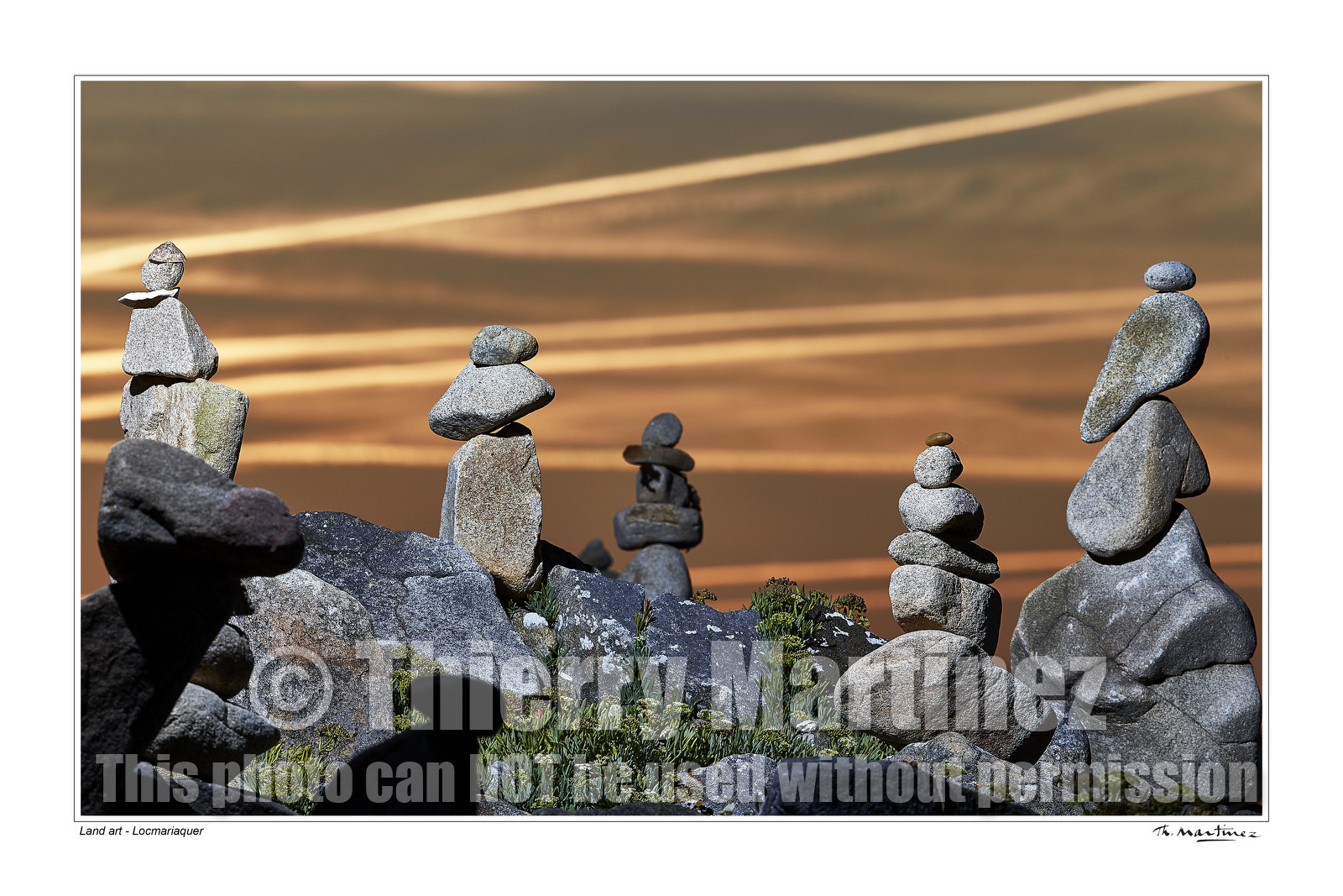 15_69125-- fond blanc -.jpg