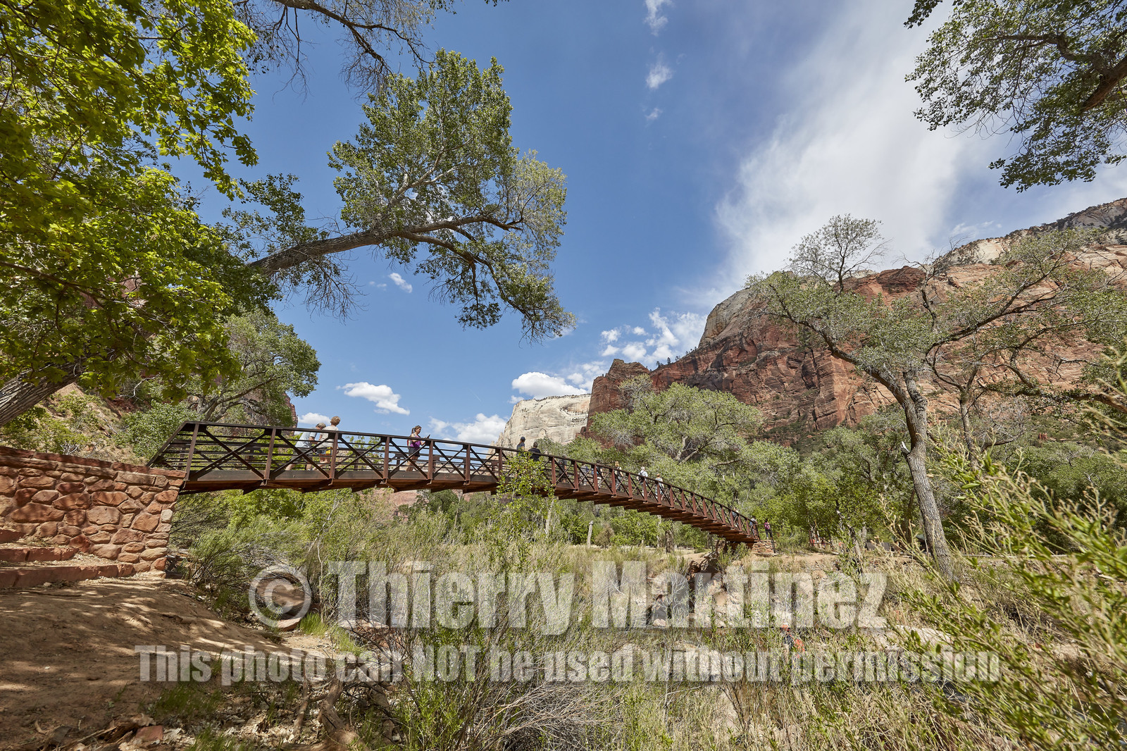 THM-18_052820-ZION Canyon