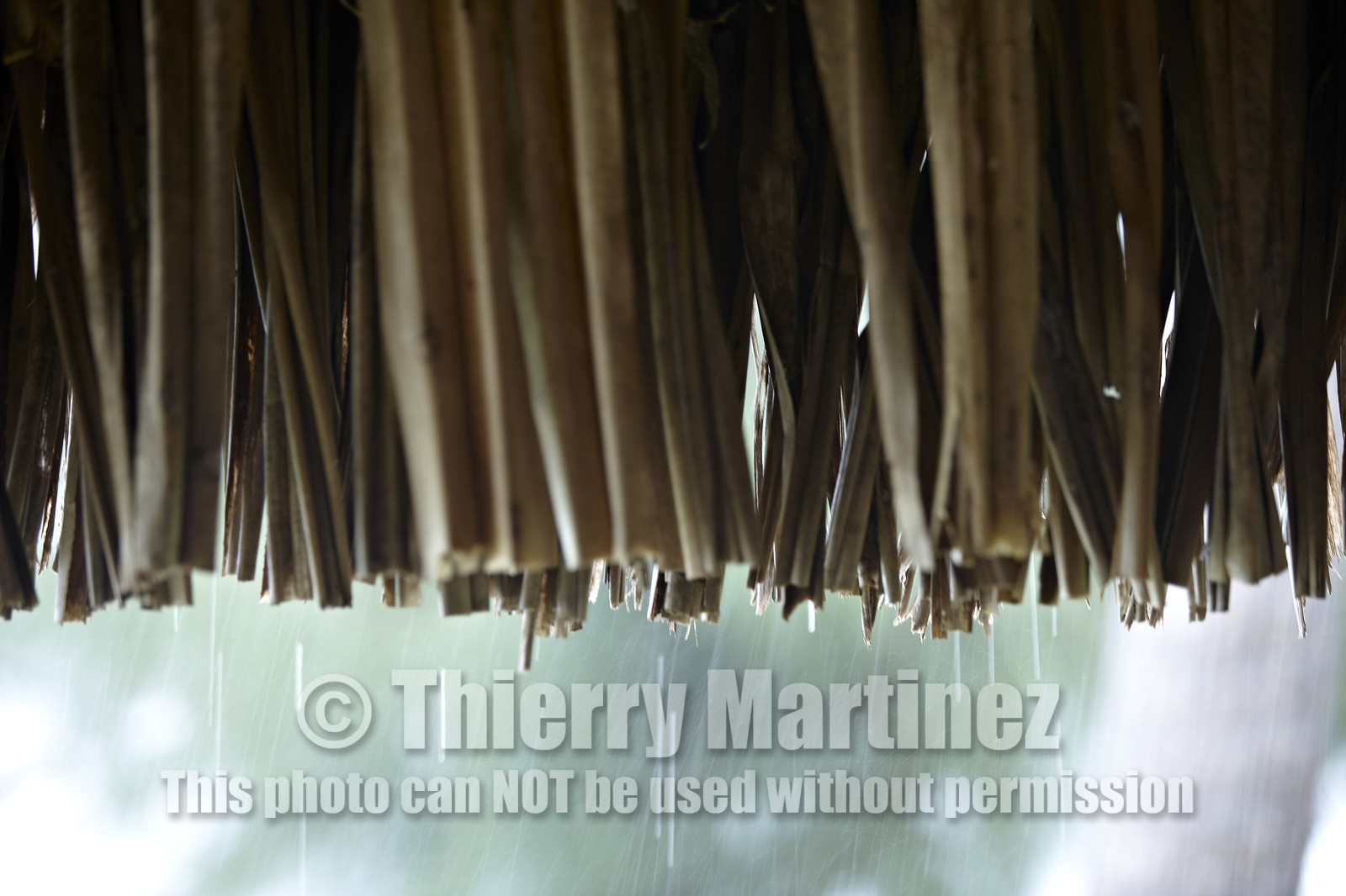 15_025967  ©ThMartinez Sea&Co.  BORA BORA - ILES SOUS LE VENT. POLYNESIE FRANCAISE .  6 Février 2015. . Bora Bora depuis Eden Beach Bora Bora..