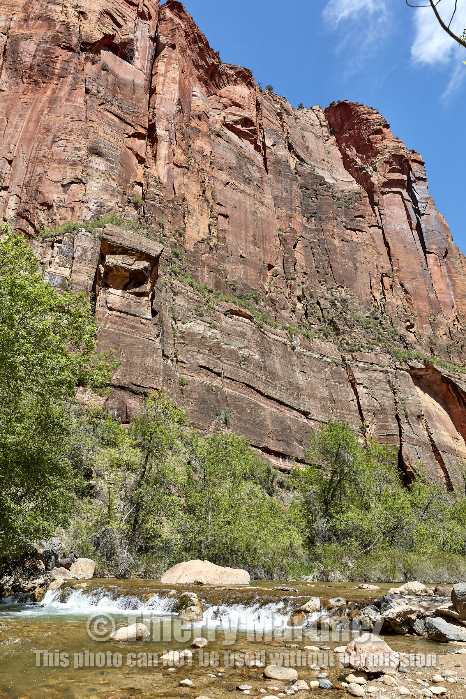 THM-18_052281-ZION Canyon