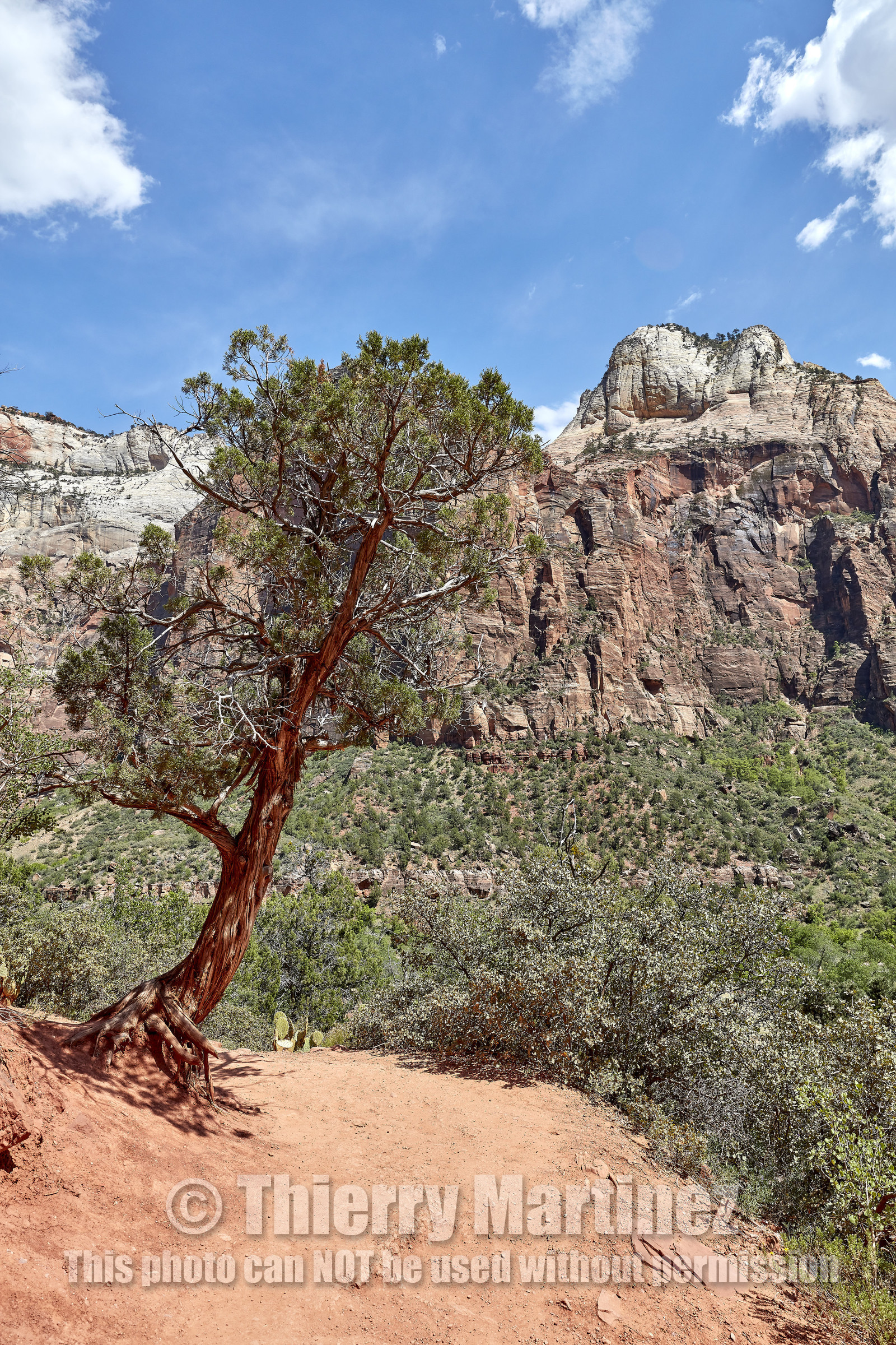 THM-18_052707-ZION Canyon