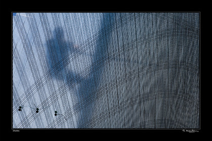 07_09063-shadow fond noir-.jpg