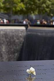 New York City (USA).