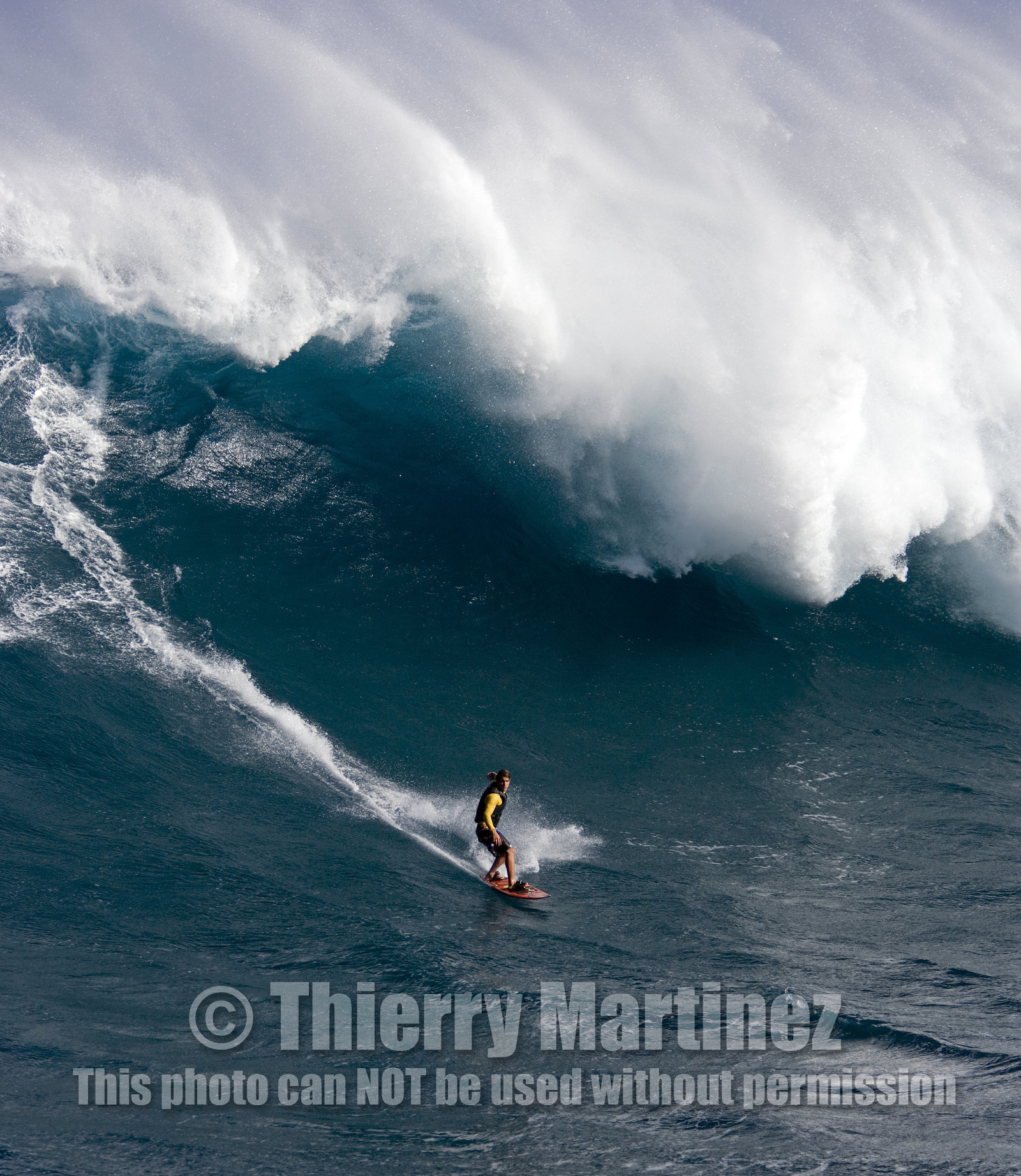 MAUI - HAWAII - USA . Jan 2007.