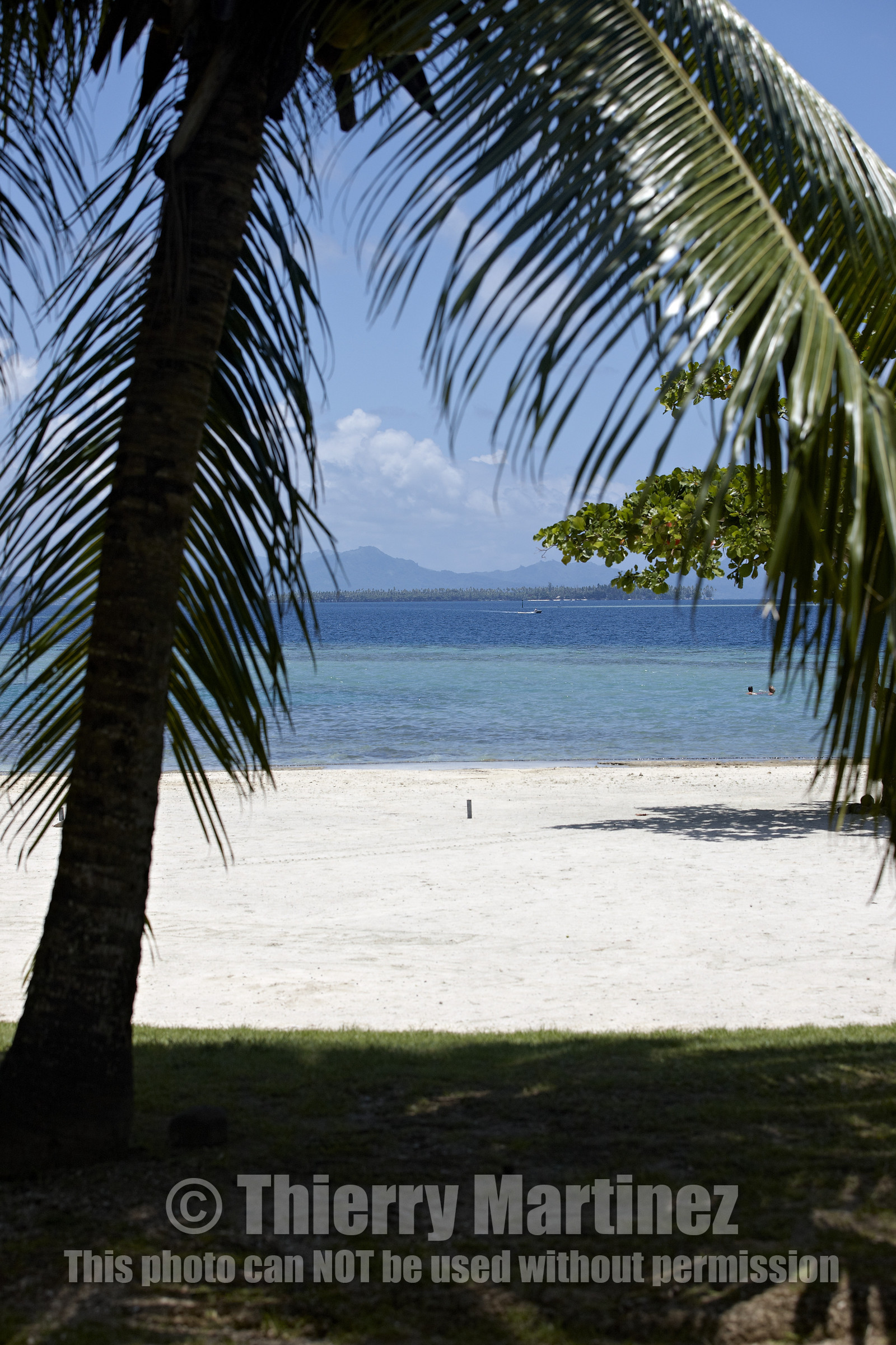 15_023934  ©ThMartinez Sea&Co.  RAIATEA - ILES SOUS LE VENT. POLYNESIE FRANCAISE .  2 Février 2015. ..