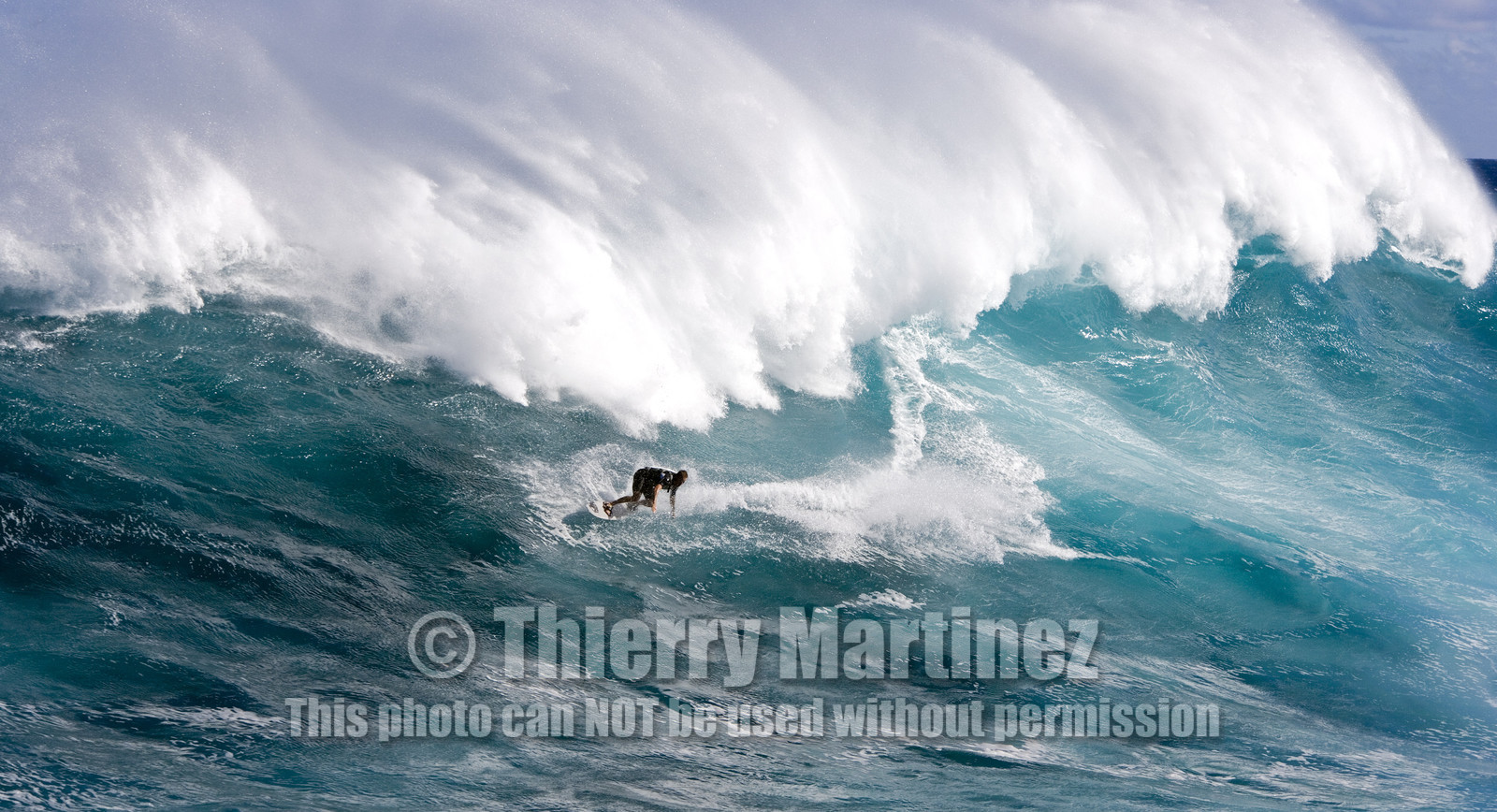 MAUI - HAWAII - USA . Jan 2007.