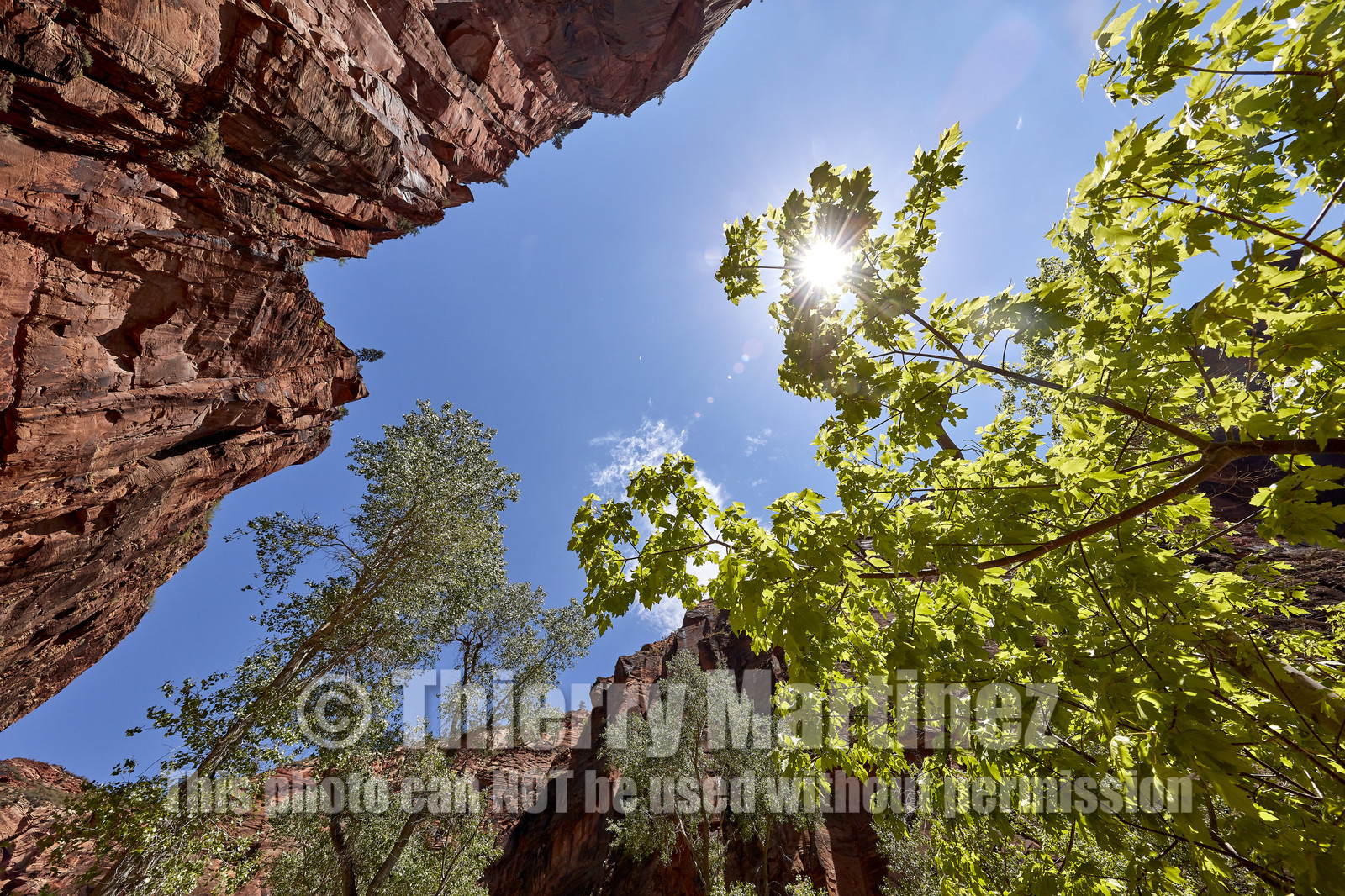 THM-18_052444-ZION Canyon