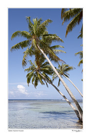 15_24895 - fond blanc -.jpg