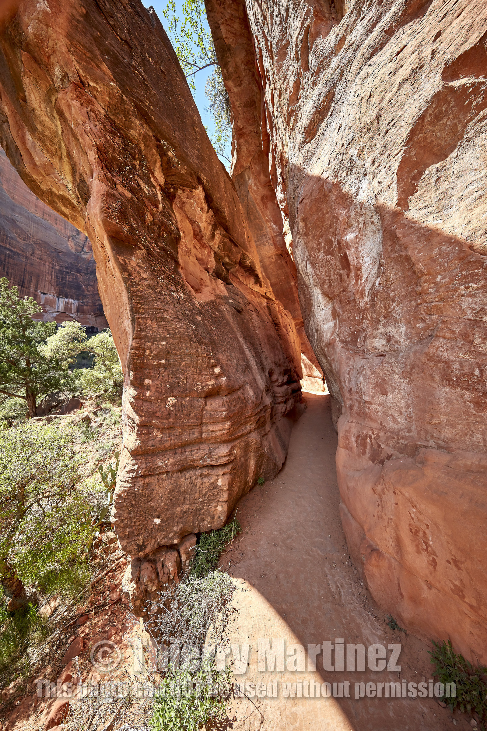 THM-18_052716-ZION Canyon