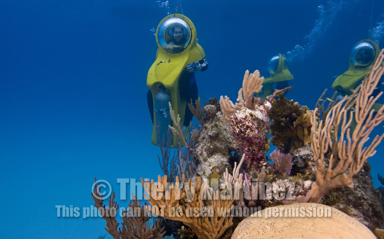 DIVING IN BAHAMAS- JAN 2007