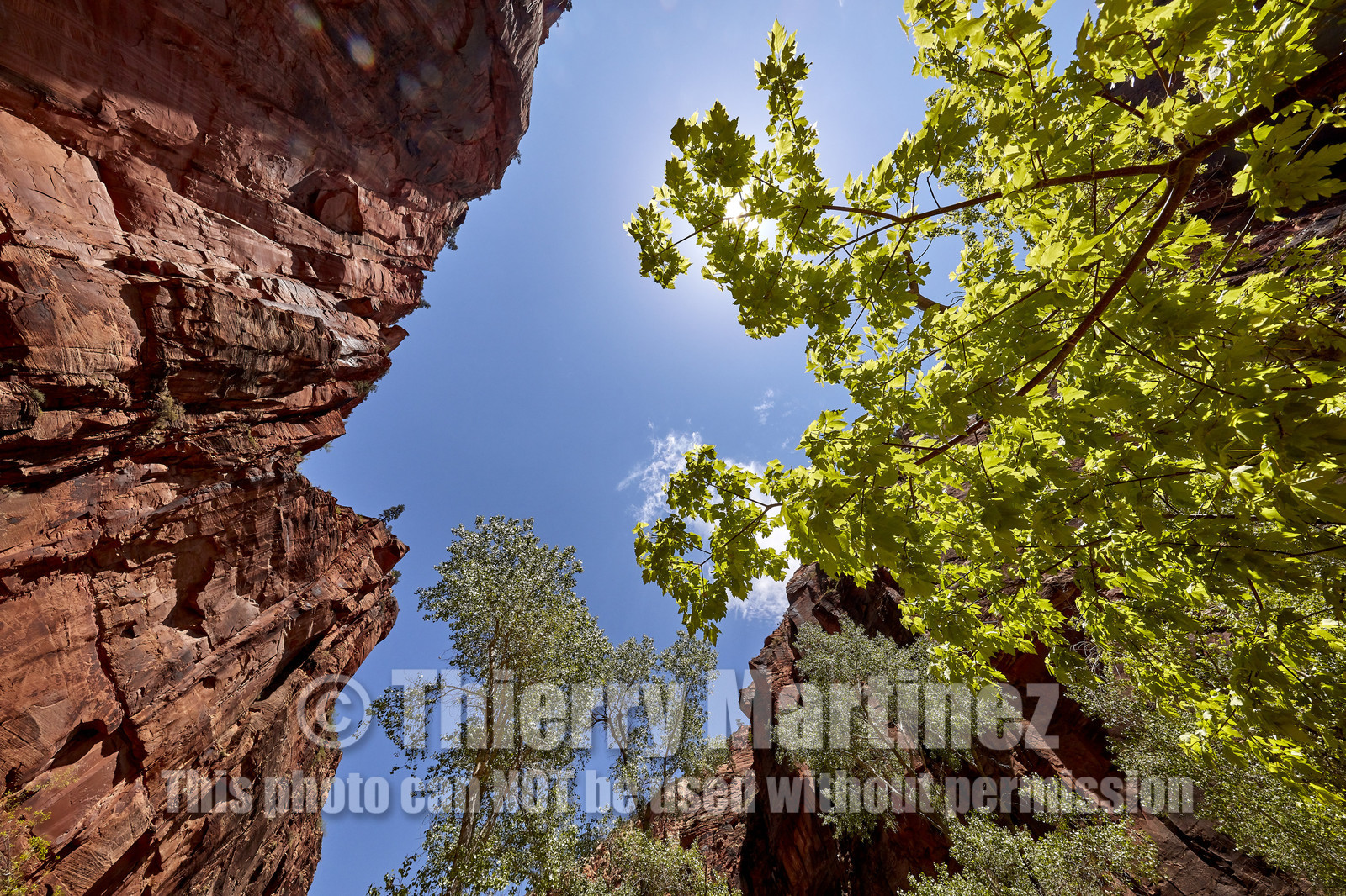 THM-18_052446-ZION Canyon