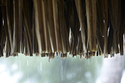 15_025967  ©ThMartinez Sea&Co.  BORA BORA - ILES SOUS LE VENT. POLYNESIE FRANCAISE .  6 Février 2015. . Bora Bora depuis Eden Beach Bora Bora..