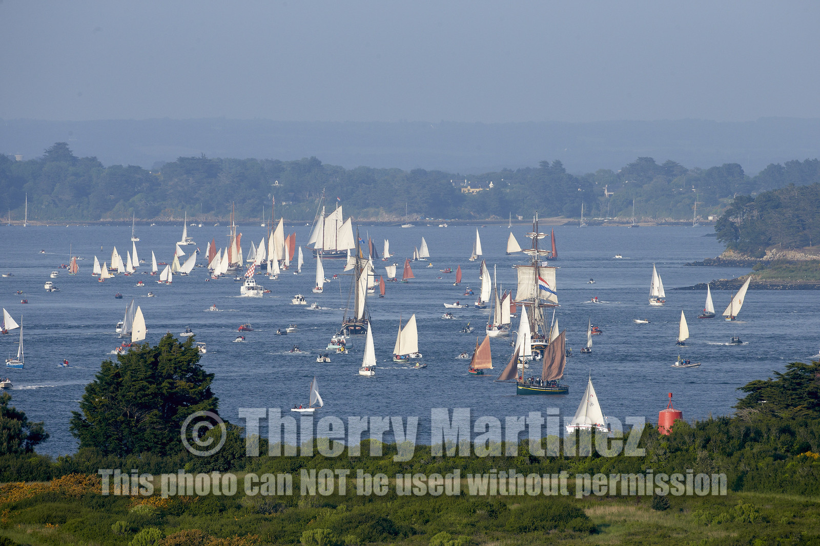 Semaine du Golfe 2015. Parade d'arrivée de la flotte.