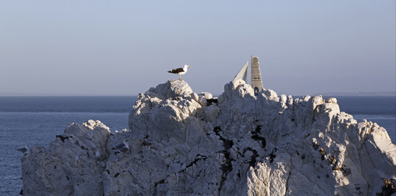 JP Morgan Asset Management Round The Island Race. 19 June 2010.